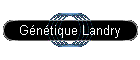 Gntique Landry