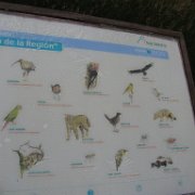 Puerto Chacabuco Voyage en Argentine et Chili.