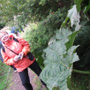 Puerto Chacabuco Voyage en Argentine et Chili.