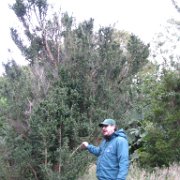 Puerto Chacabuco Voyage en Argentine et Chili.