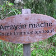 Puerto Chacabuco Voyage en Argentine et Chili.