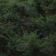 Puerto Chacabuco Voyage en Argentine et Chili.