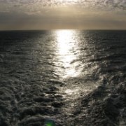 Visite de Puerto Madryn Voyage en Argentine et Chili.