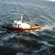 Visite de Puerto Madryn Voyage en Argentine et Chili.