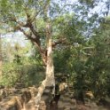 Vers le temple Ta Prohm