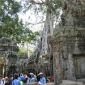 Ta Prohm qui fût le plus vaste temple dAngkor, aujourdhui livré à la jungle