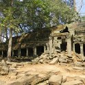 Ta Prohm qui fût le plus vaste temple dAngkor, aujourdhui livré à la jungle