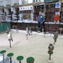 Souk Falcon, dédié uniquement au marchandage de faucons