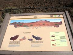 Dans le parque Teide