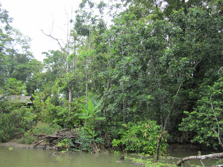 Tournée sur un bateau de rivière