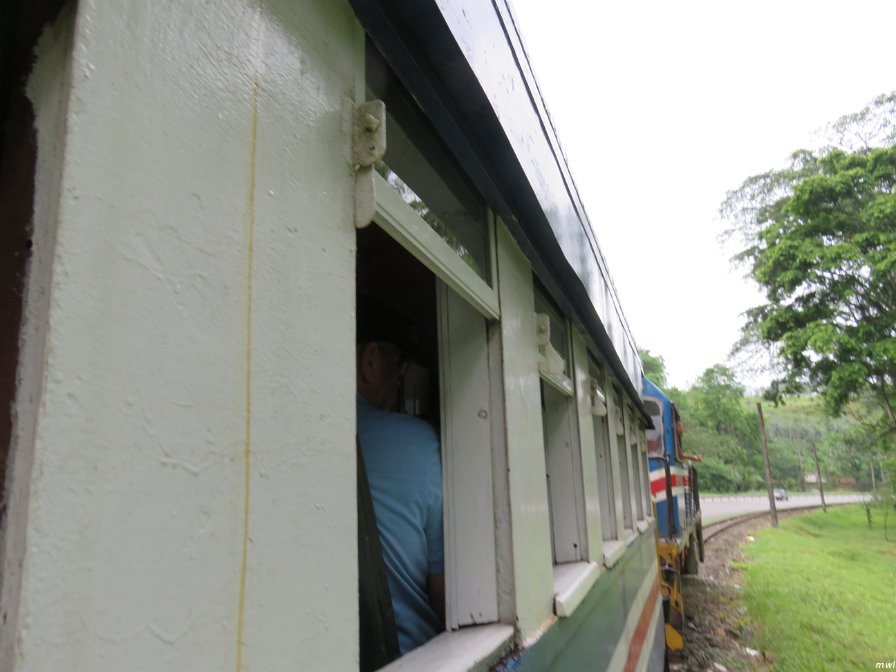 Visite écotouristique de Pueto Limon