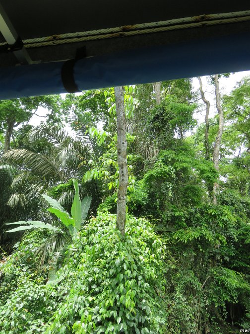 Tournée sur un bateau de rivière