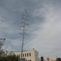 IMG 8942