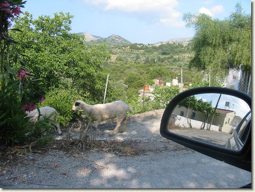 Diapositive suivante