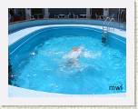 2005:05:25 12:22:35 - Piscine sur le Coral
