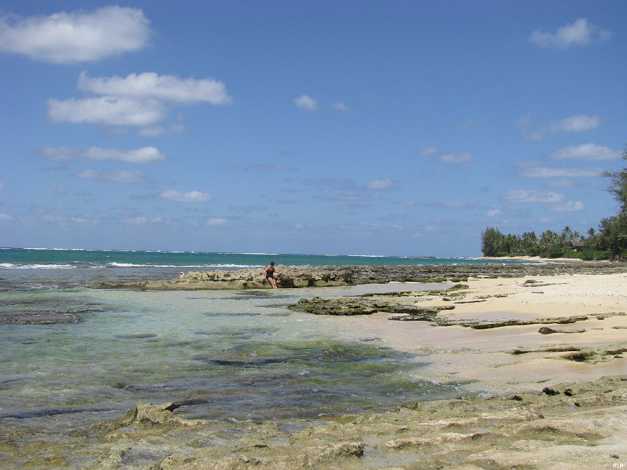 Tour de l'île côte est et le centre