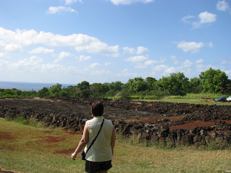 Pu'u O Mahuka Heiau - Tour de l'île côte est et le centre
