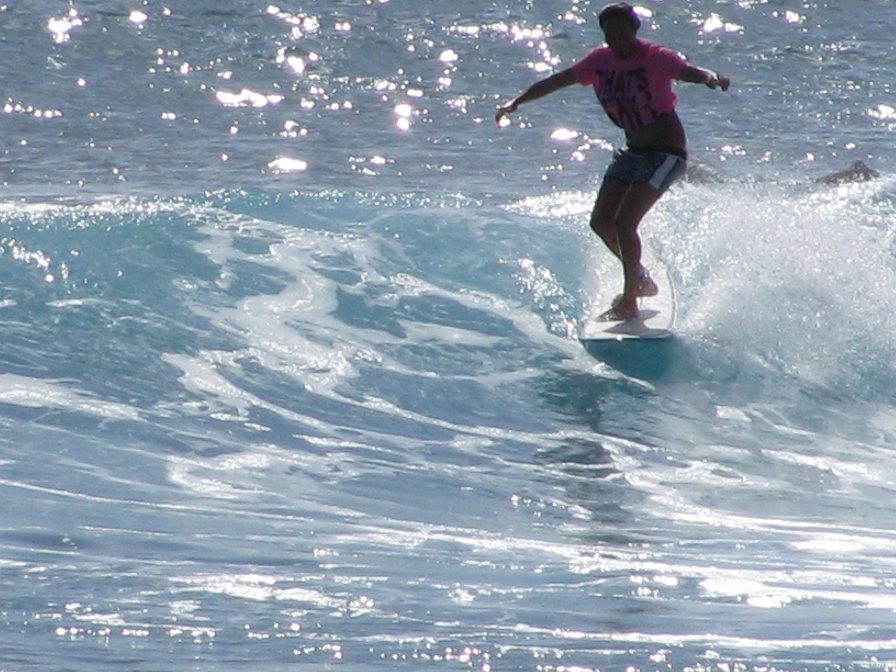 Visite de la côte occidentale de Oahu