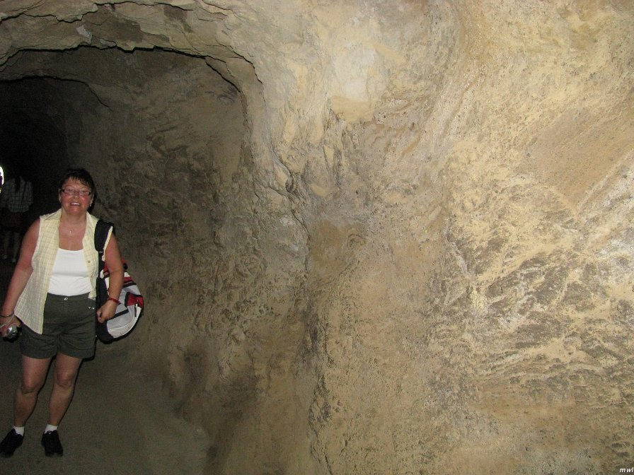 Visite du cratère Diamond Head