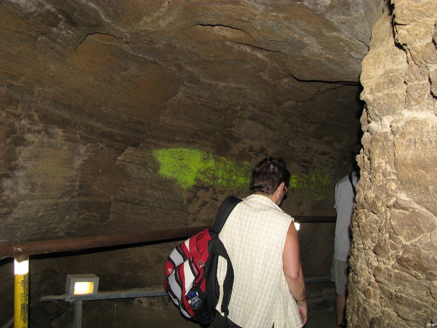 Visite du cratère Diamond Head