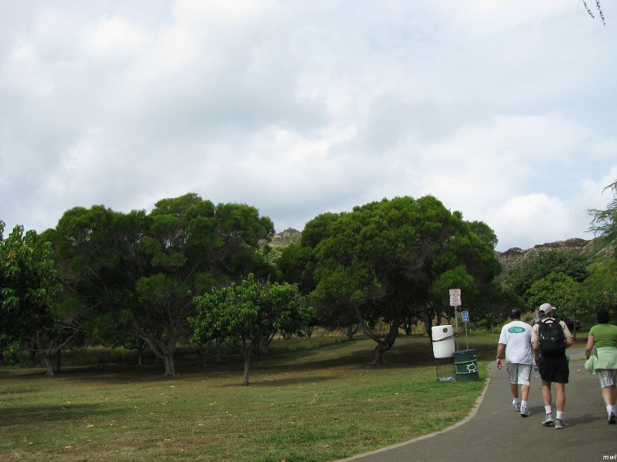Visite du cratère Diamond Head