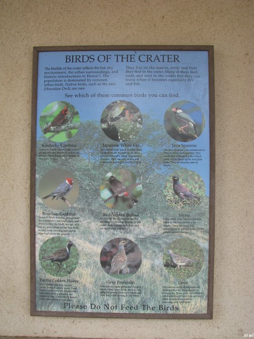 Visite du cratère Diamond Head