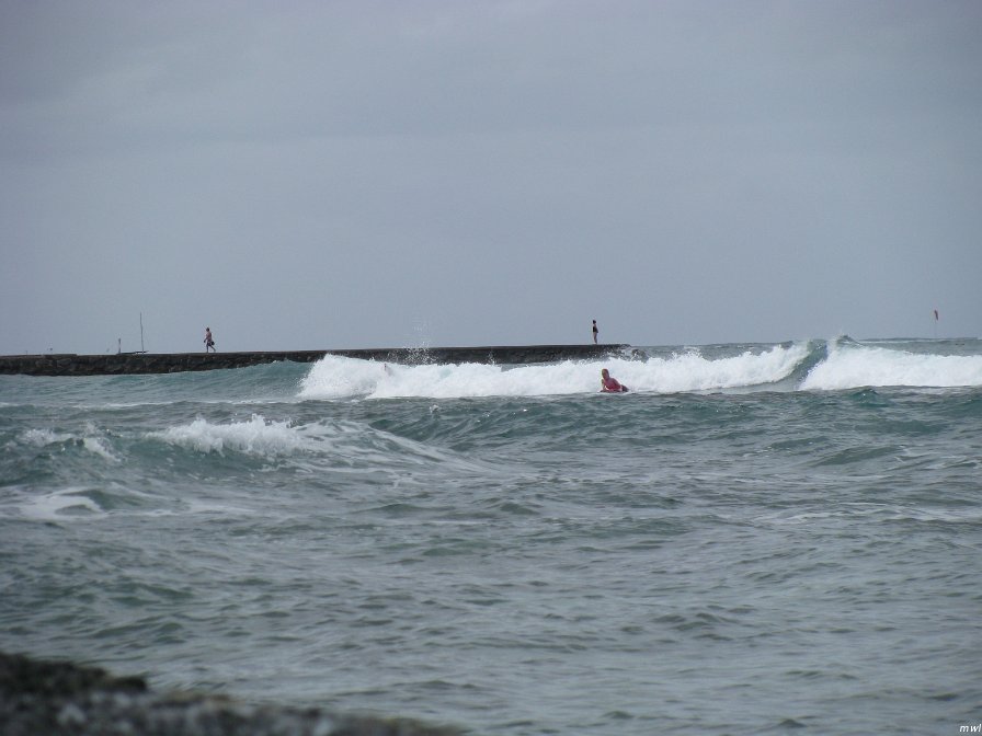 Voyage à Hawaii
