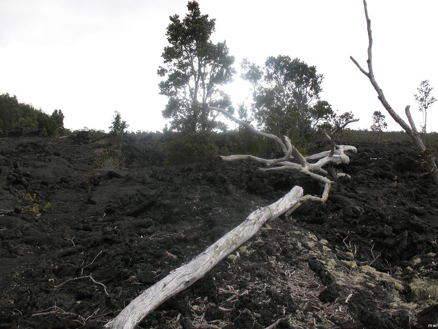 Visite des îles et des volcans de Big Island