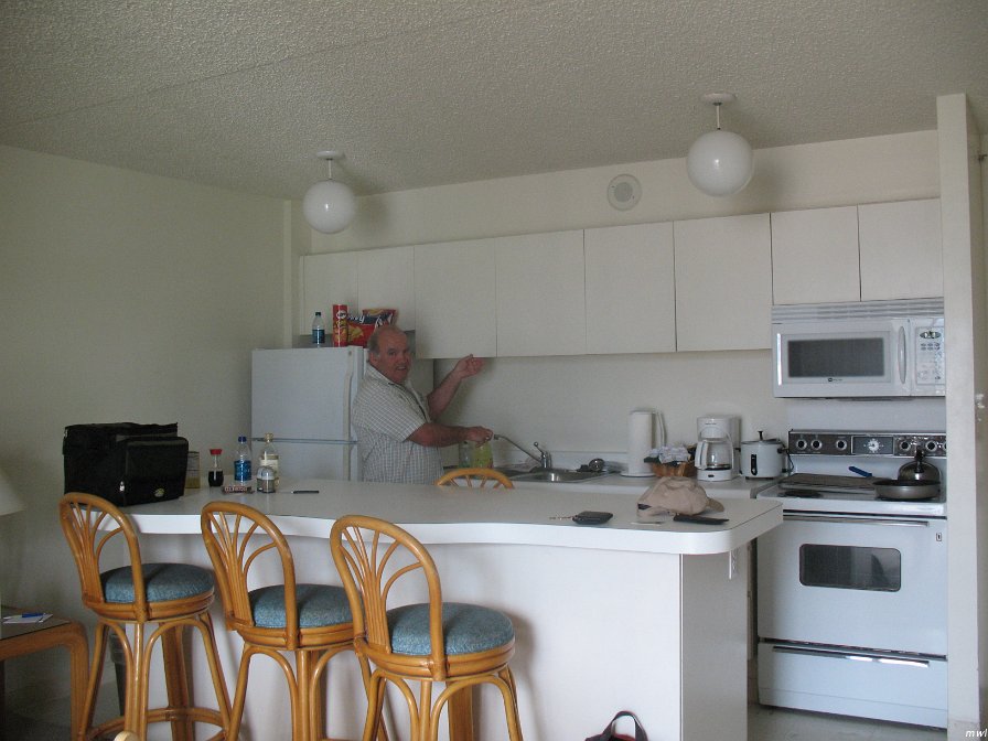 Waikiki Banyan