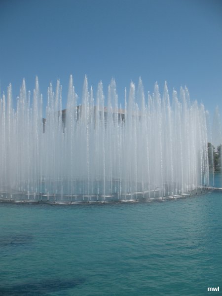 IMG 0824