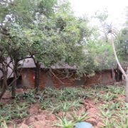 Réserve de Hluhluwe