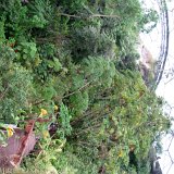 Visite du Eden Project près de St Austell