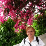 Visite du Eden Project près de St Austell