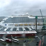 Visite du port de Honfleur