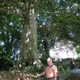 Excursion de Luss and Loch Lomond Drive