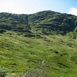 Excursion de Luss and Loch Lomond Drive
