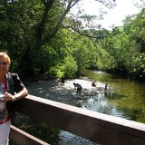 Excursion de Luss and Loch Lomond Drive