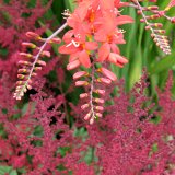 Powerscourt Estate, Waterfall and Nature Walk