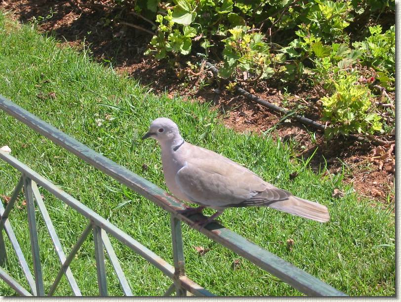 Diapositive suivante