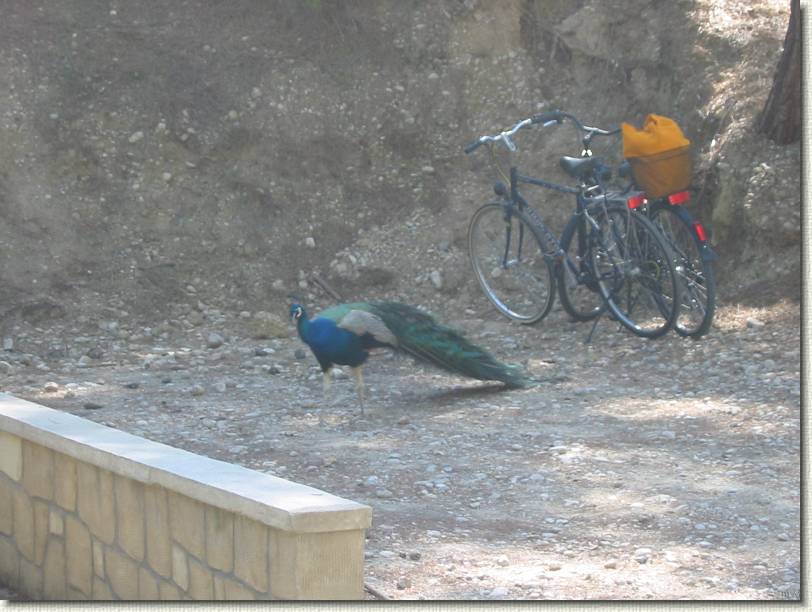 Diapositive suivante