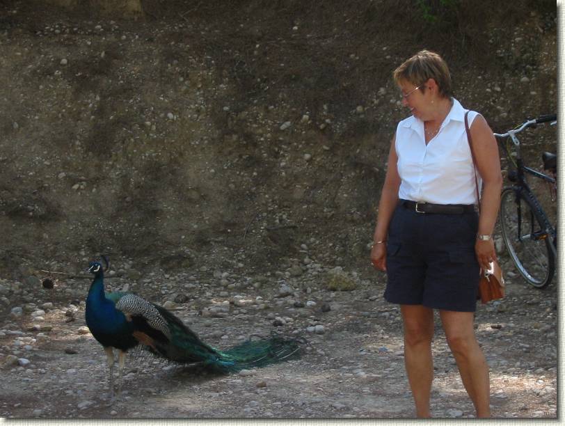 Diapositive suivante