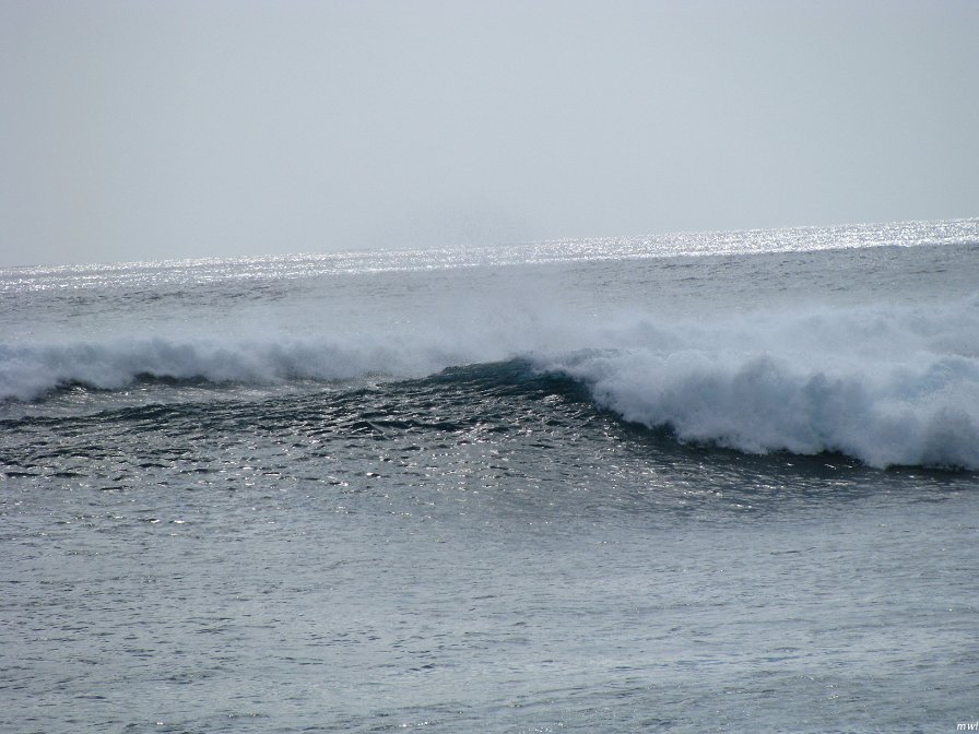 Visite de la côte occidentale de Oahu