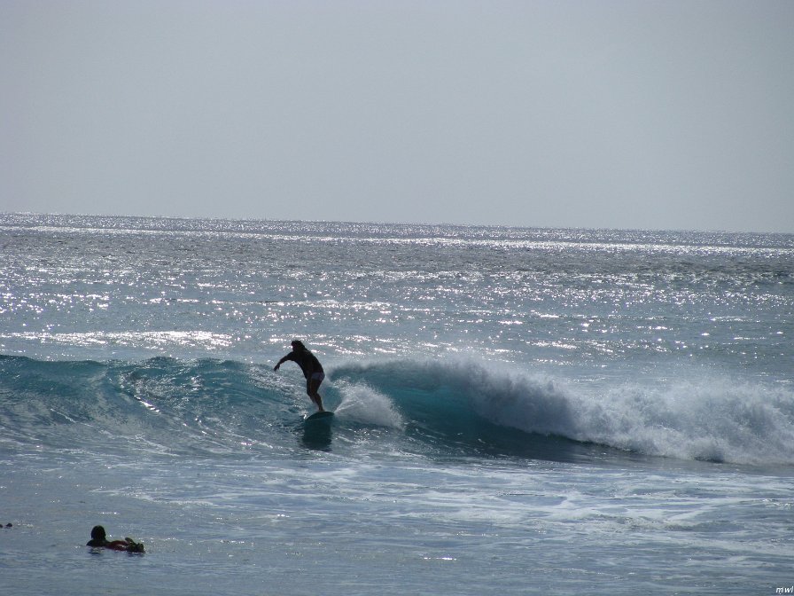 Visite de la côte occidentale de Oahu