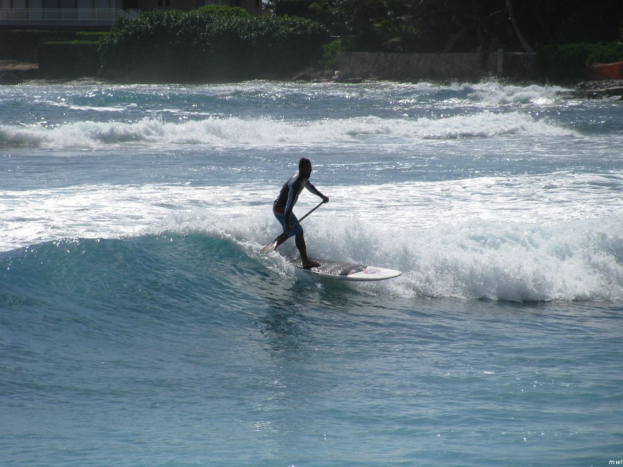 Visite de la côte occidentale de Oahu