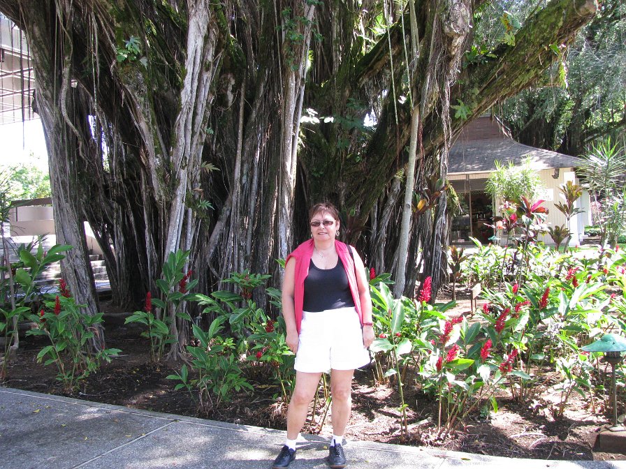 Hilo sur l'île d'Hawaii