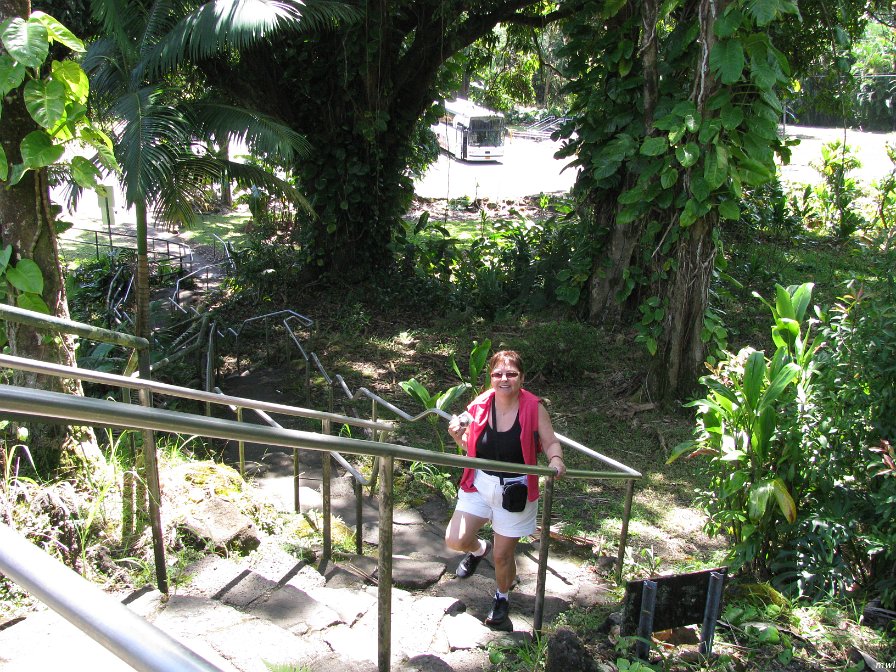 Visite de Big Island