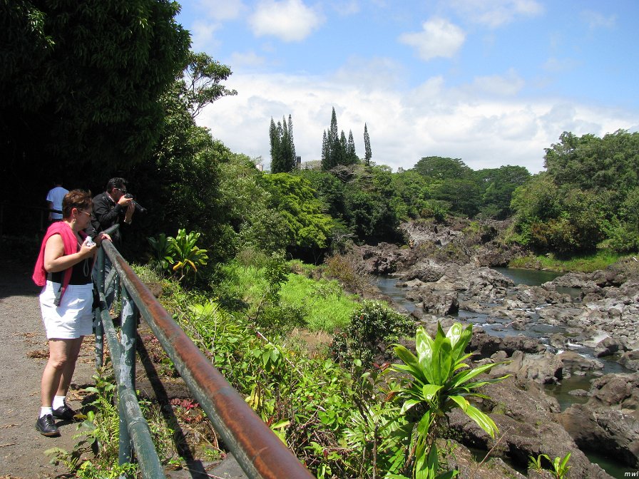 Visite de Big Island