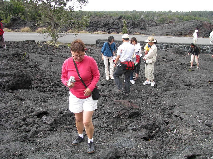 Visite des îles et des volcans de Big Island