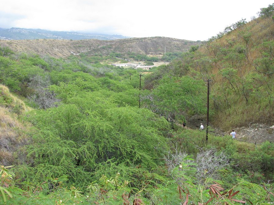 Visite du cratère Diamond Head