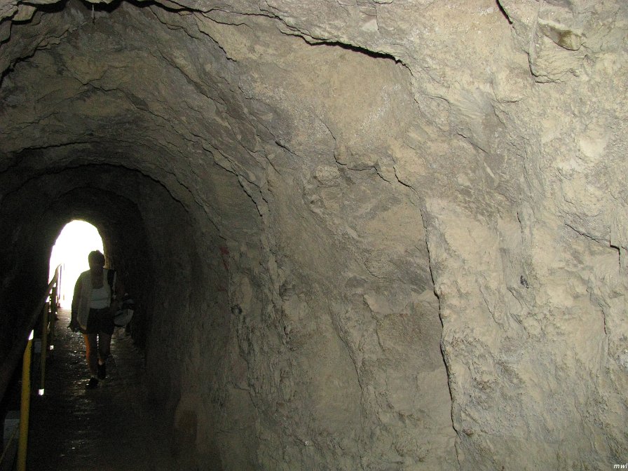 Visite du cratère Diamond Head